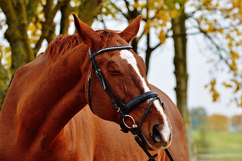 对自己闺蜜的男朋友说的话