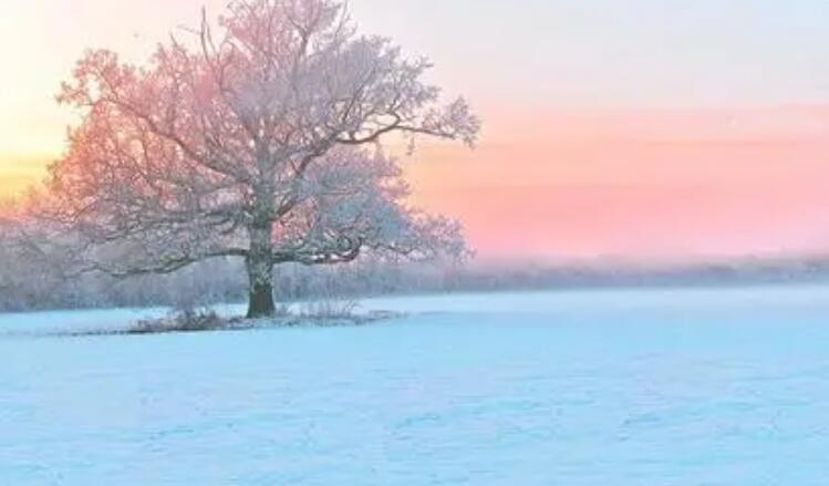 描写冬天的优美短句简