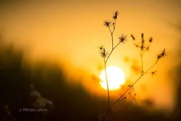 不去恨的句子文案