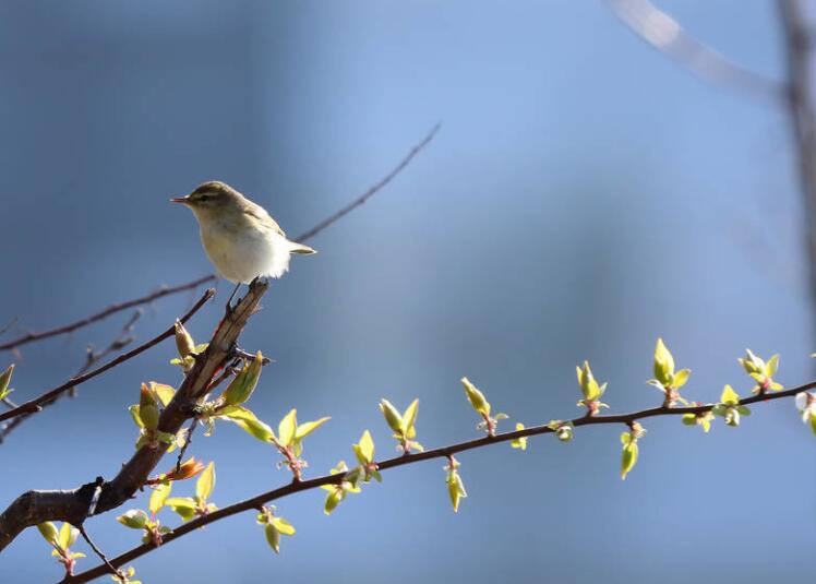 夸人最走心的话