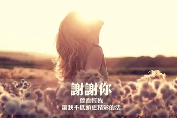 谢谢陪伴的感动说说文案