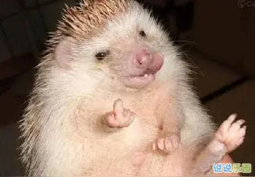 怼好朋友的搞笑句子文案