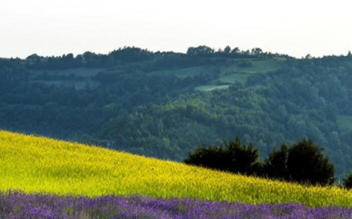 祝梦想成真的话简短