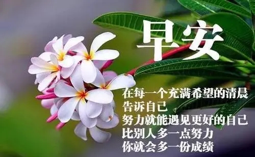 清晨第一声问候语