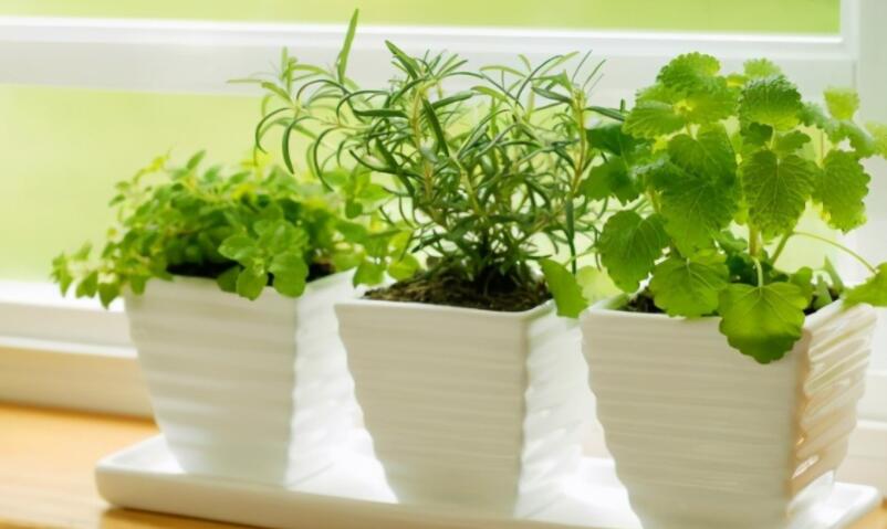 回忆的伤感语录文案