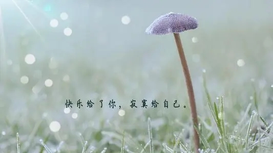 三句话短句唯美