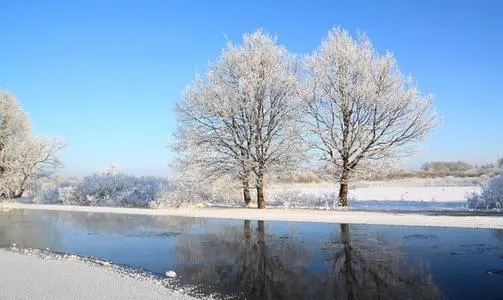 描写冬天的优美的短小的句子文案