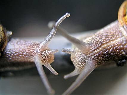 2024文案短句爱情