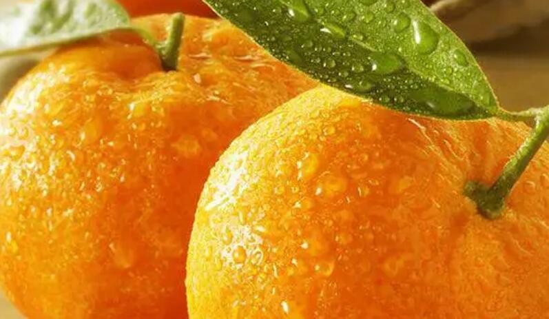 5月早上好祝福语图片