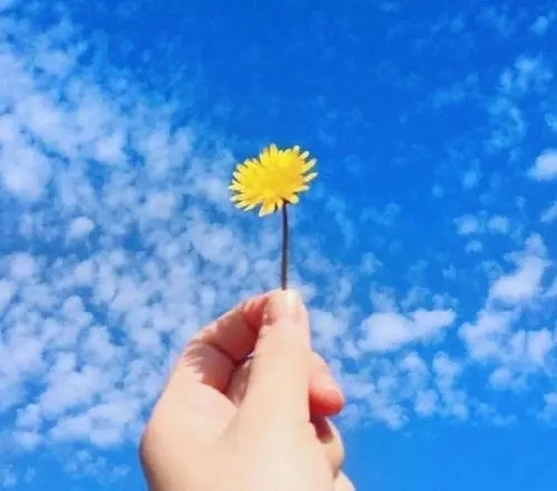 五一正能量的句子文案