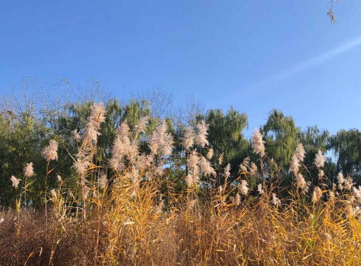 旅游发朋友圈文案