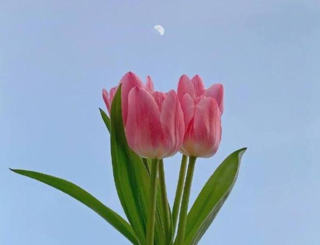 有深度的早安金句