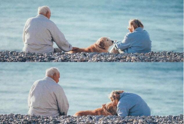 结婚十五周年唯美句子文案