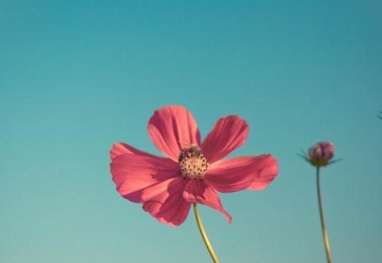 可爱调皮的早安简短句子文案