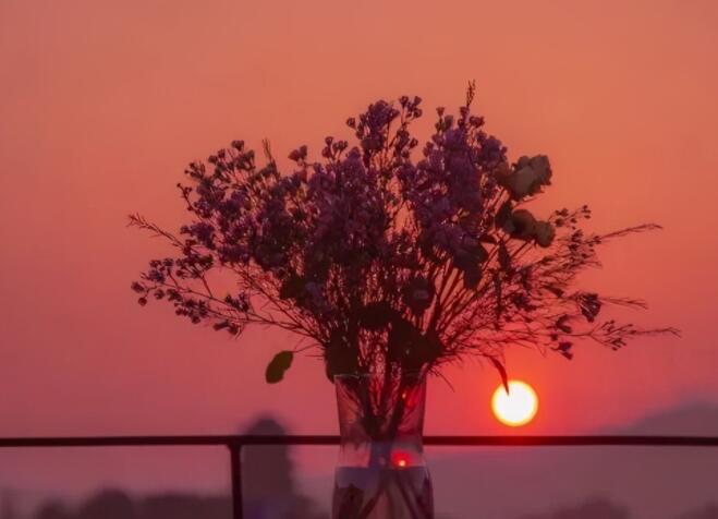 带点丧的宝藏句子文案