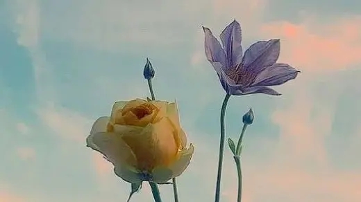 女性正能量朋友圈说说文案