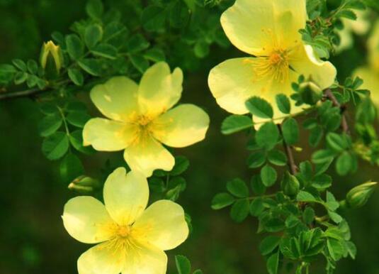 简短精辟励志的句子文案