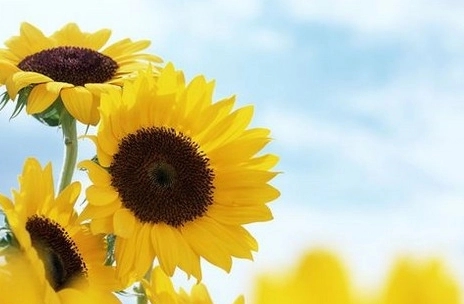 简短说说文案致自己