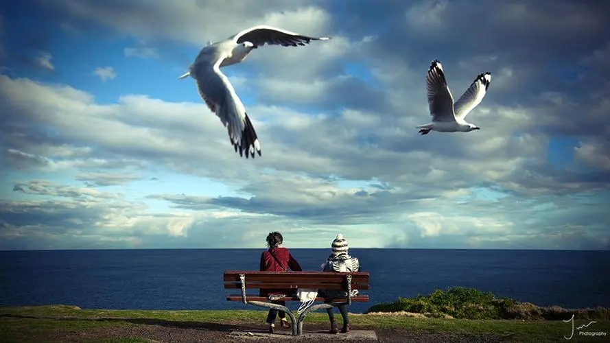 漂洋过海来看你情感语录文案