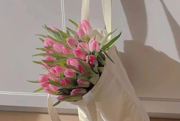 乐观有趣的一句话