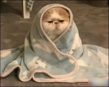 适合感冒时发的朋友圈