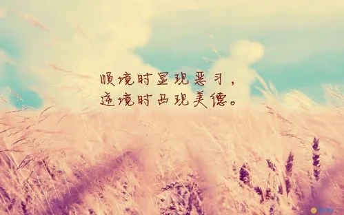 关于流沙的励志句子文案