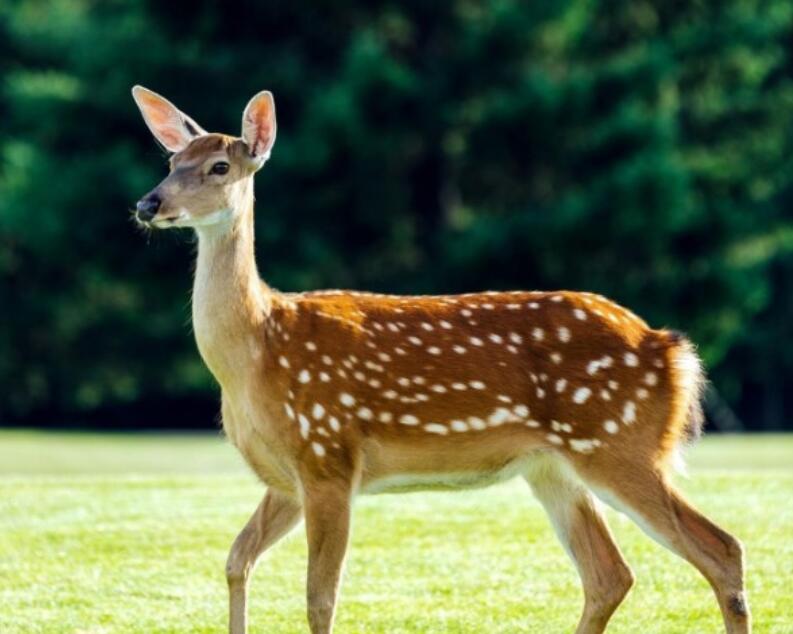 八字以内笑死人歪理句子文案