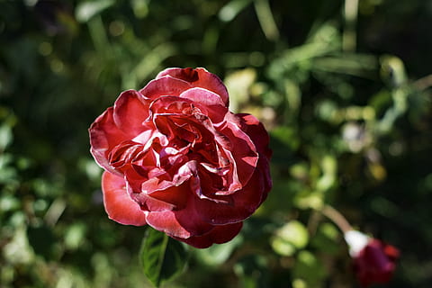 不负春光的诗句文案