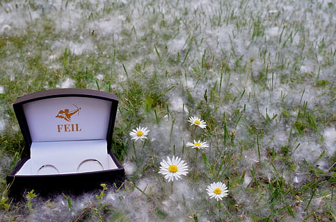 冷酷无情的句子文案简短