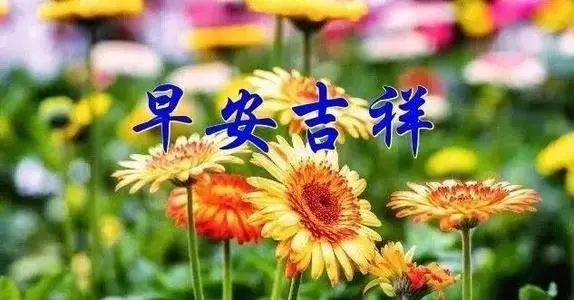 春天早晨祝福语短句