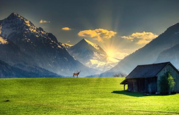 积极向上的诗句文案