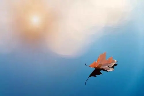 形容女人很洒脱的诗句文案