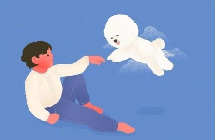 让人感动的经典语录文案