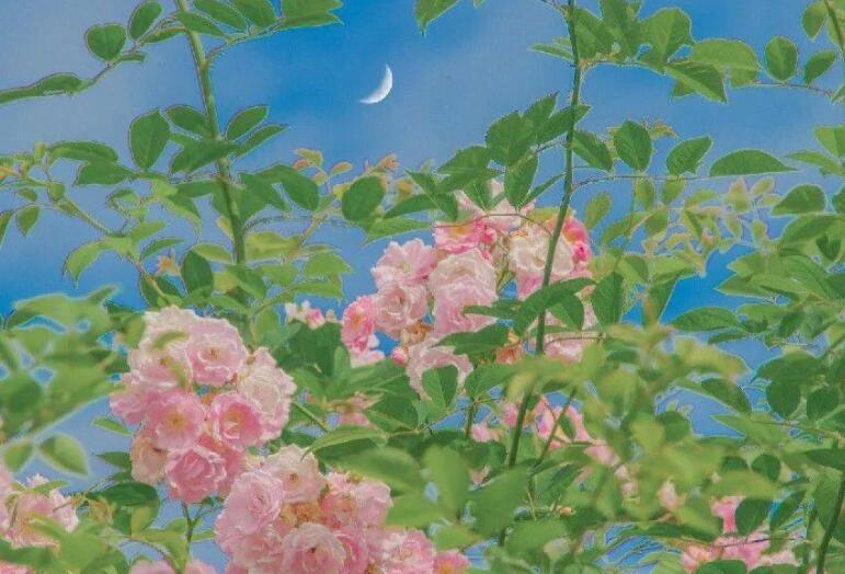 男人低谷期发朋友圈的句子文案