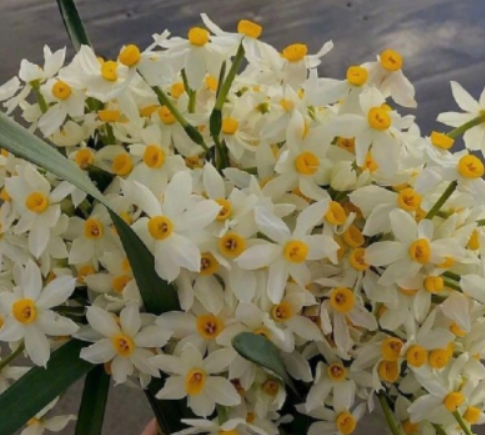 开心一刻发朋友圈的句子文案