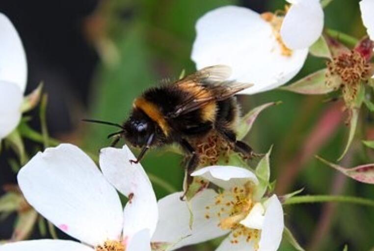 充满生活情调的句子文案