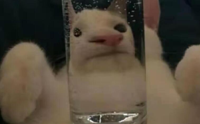 心情不好抑郁的说说文案