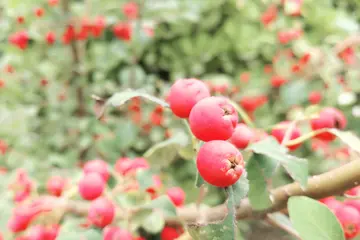 适合初秋发的朋友圈