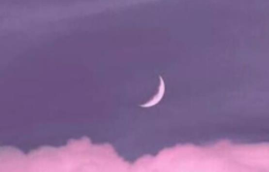 感恩资助的话50字