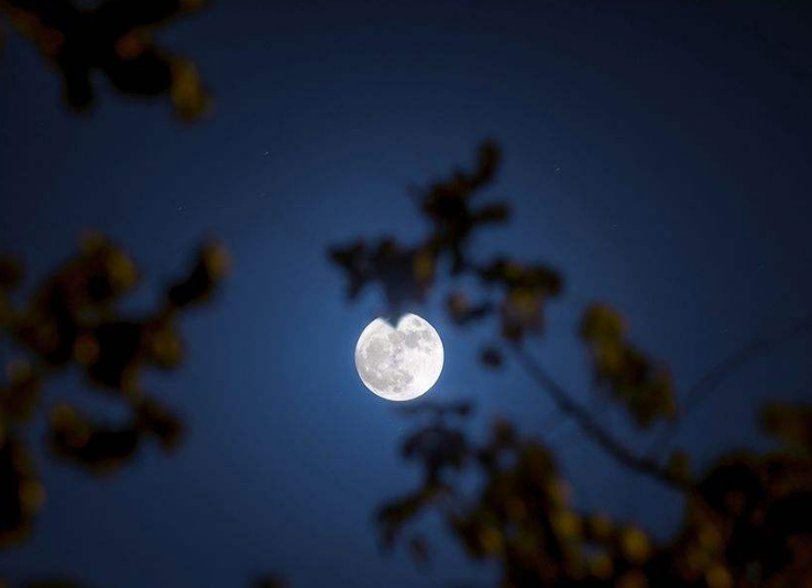 关于十五月亮的诗句文案唯美