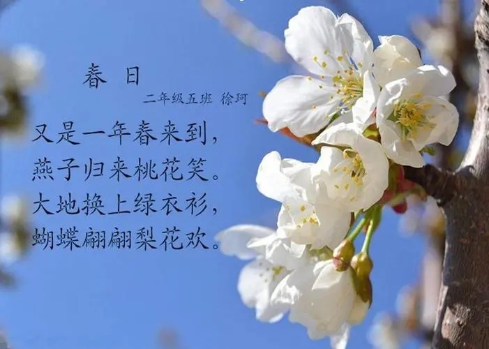 关于春天的古诗