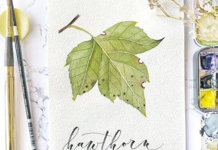 带文艺范的语句文案