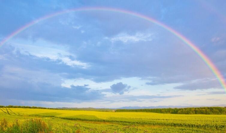诗意满满的文案