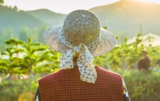 感情悲伤心碎的诗句文案