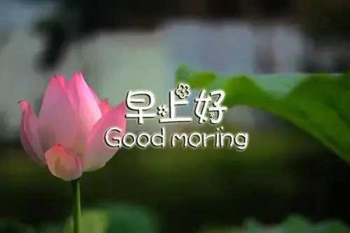 2024年4月29号早安心语
