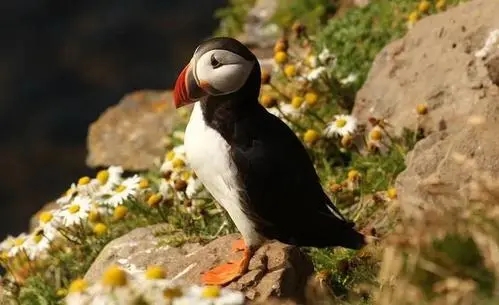 关于特别的好句文案