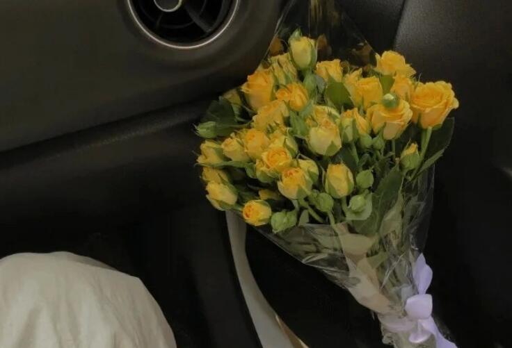 关于坚持的句子文案摘抄