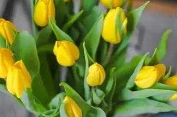 控制自己情绪的说说文案