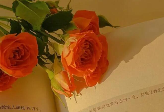 一句话说说文案超短最新