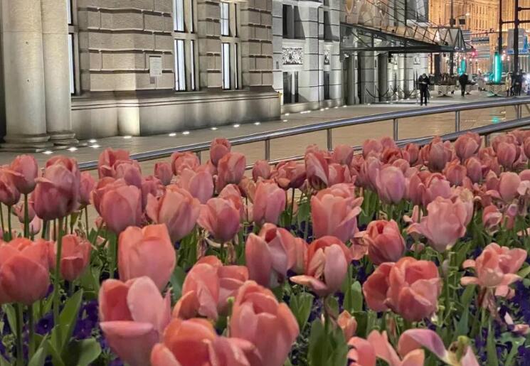 幽默积极向上的句子文案